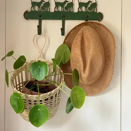 Vakantiewoning Momo Maison d'hôtes 3*