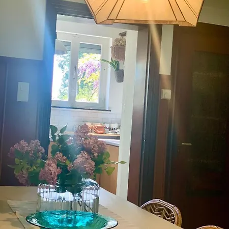 Guest house Vakantiewoning Momo