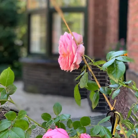 Vakantiewoning Momo