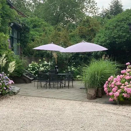 Vakantiewoning Momo Maison d'hôtes
