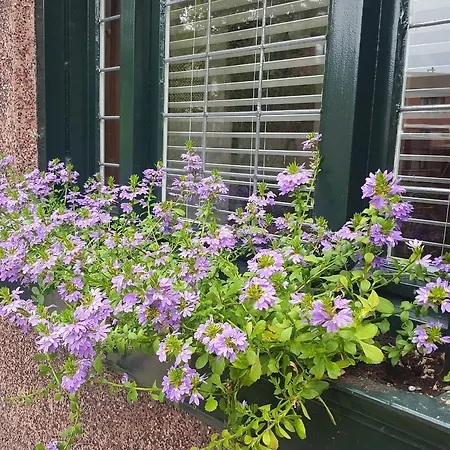 Vakantiewoning Momo Guest house