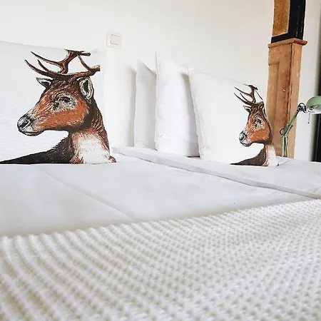 Vakantiewoning Momo